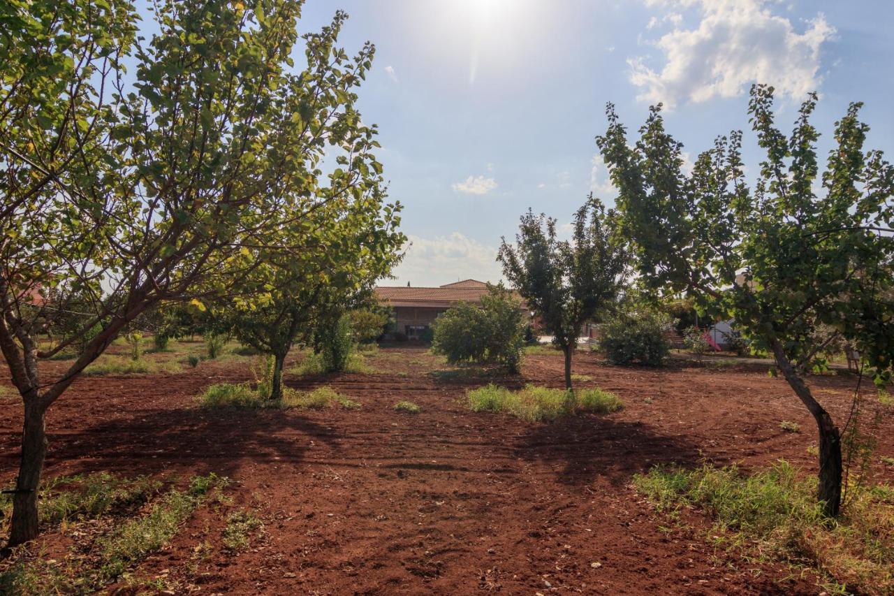 Berryrose Villa Περβόλια Εξωτερικό φωτογραφία