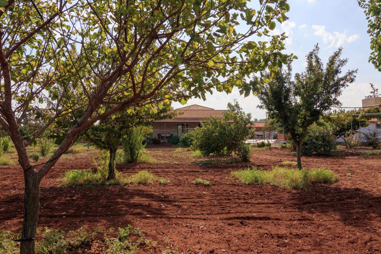 Berryrose Villa Περβόλια Εξωτερικό φωτογραφία