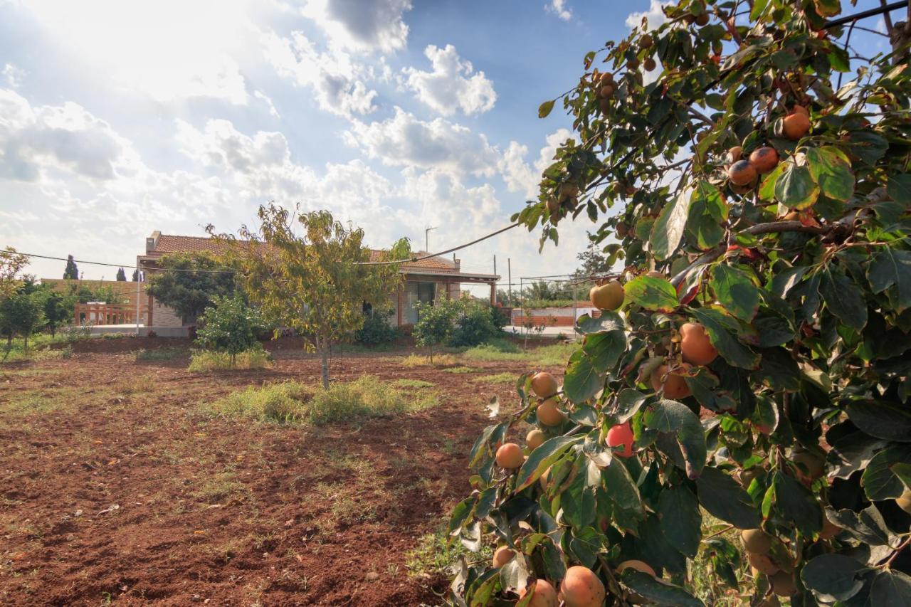 Berryrose Villa Περβόλια Εξωτερικό φωτογραφία
